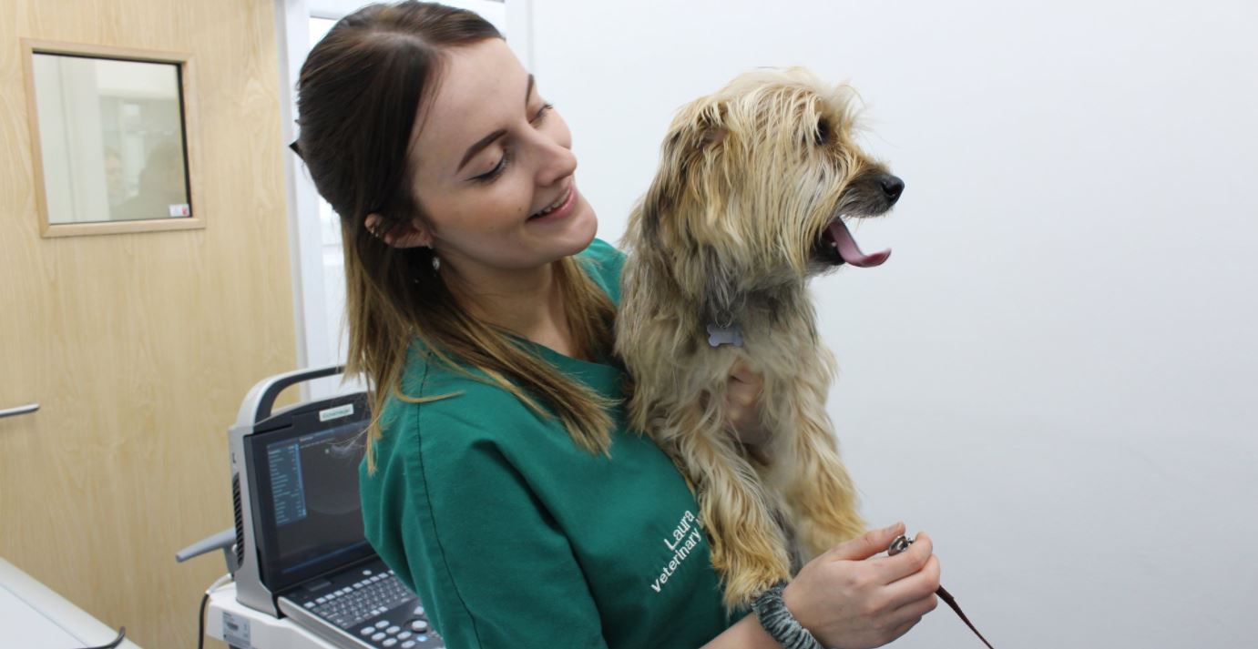 dog vaccinations