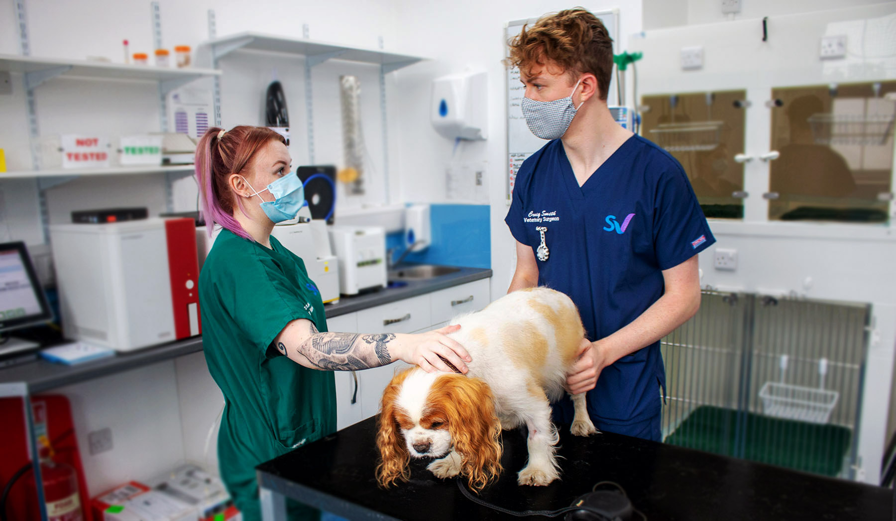 dog vaccination glasgow