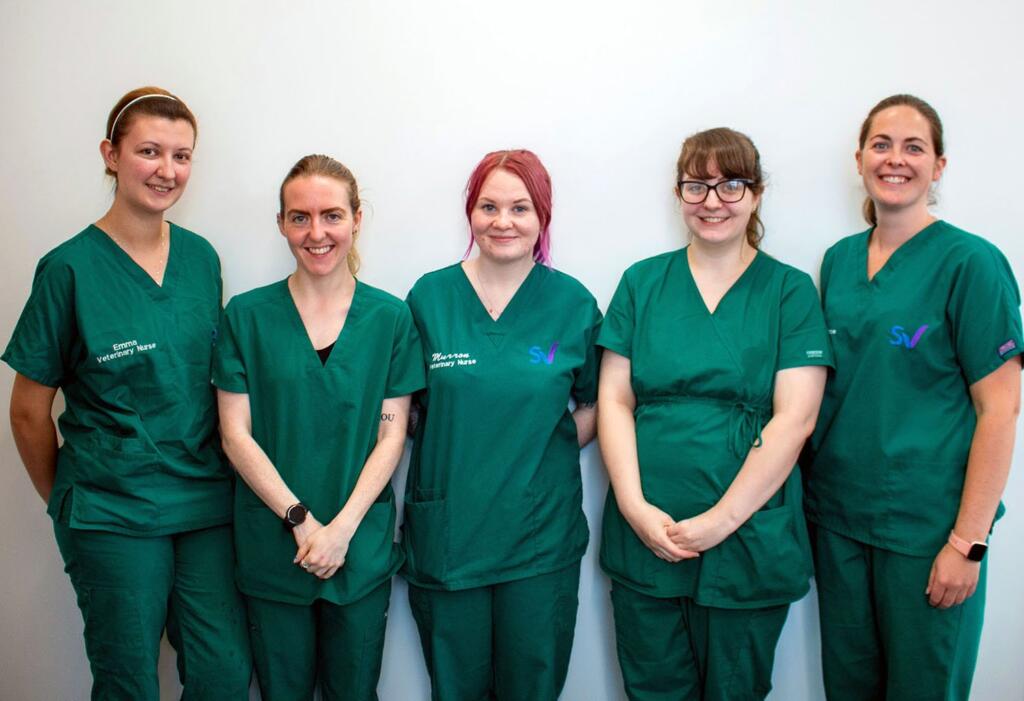 vet nursing jobs glasgow