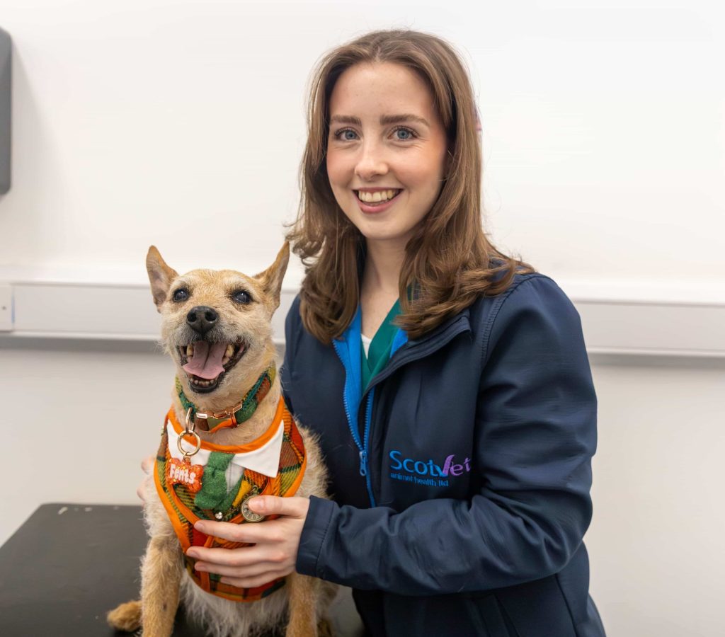 Member of scotvet team smiling with a dog