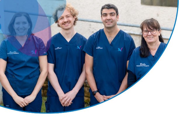 A friendly team you can trust - scot vets