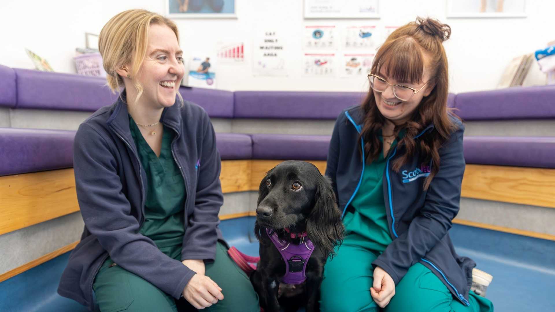 Glasgow vets dog care
