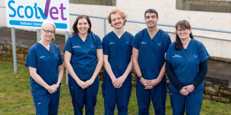 Team of veterinary surgeons at Scotvet Animal Health Veterinary Clinics in Baillieston and Sandyhills