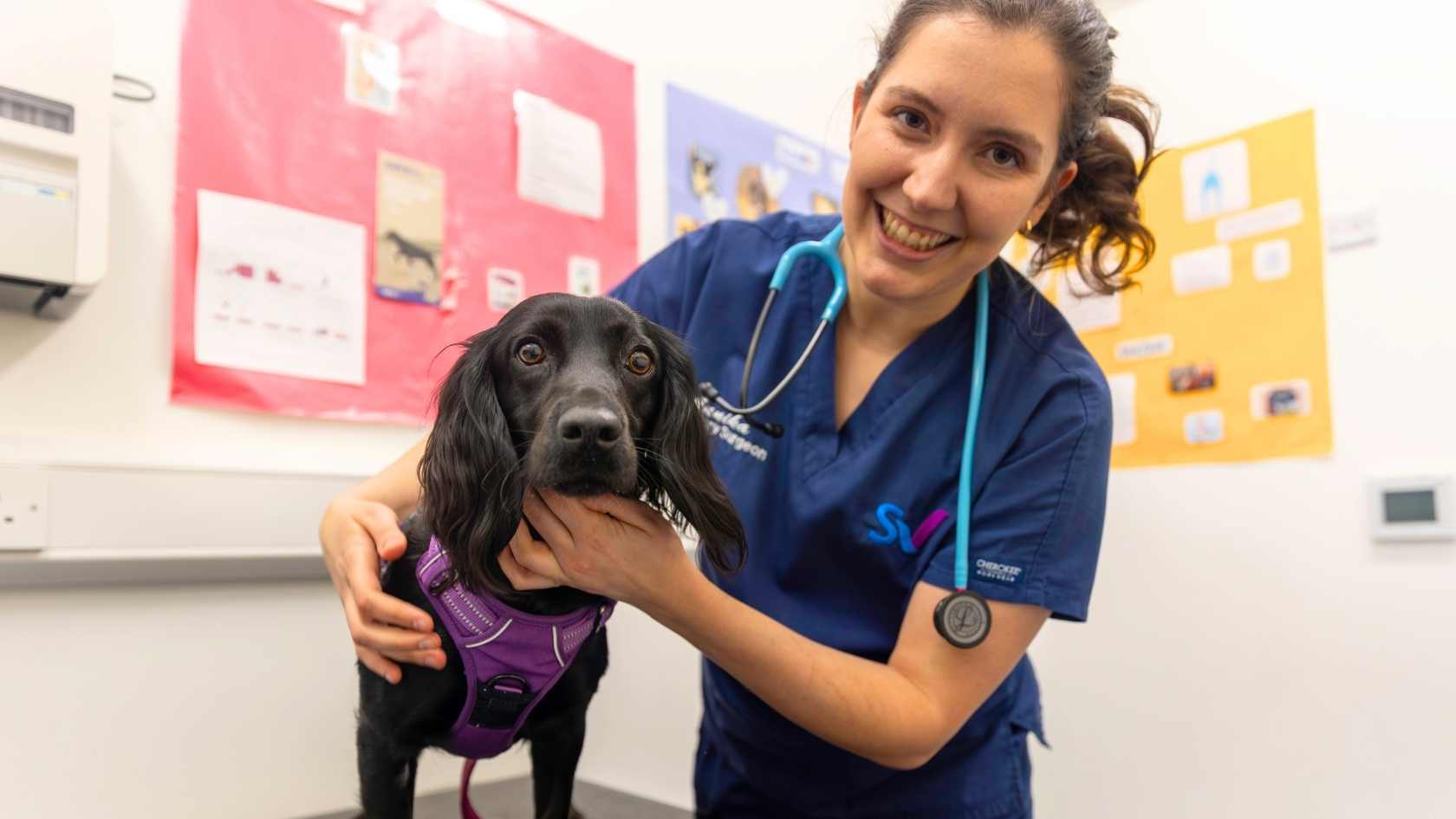 Glasgow vets dog care