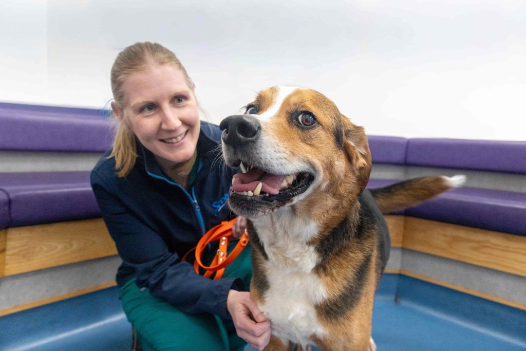 Smiling ScotVet team member with a happy dog in the waiting room