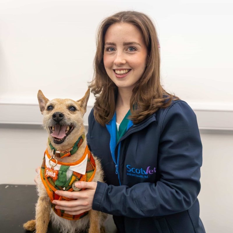 Member of scotvet team smiling with a dog