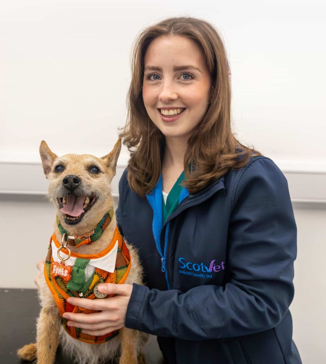 Member of scotvet team smiling with a dog