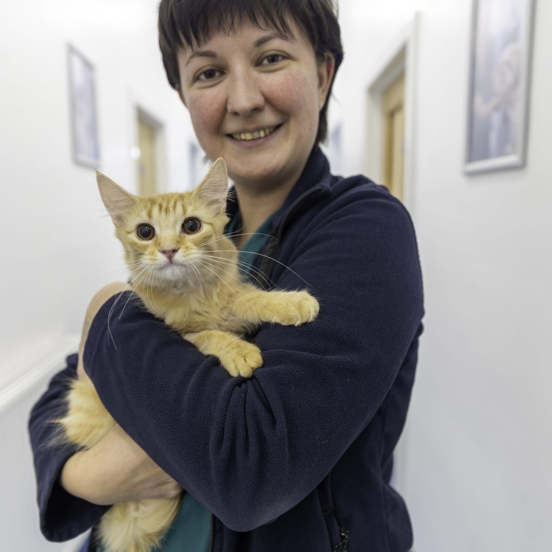 Scotvet_0326-76